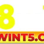 68wint5com1