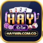 haywincomco1