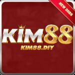 kim88diy