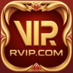 Rvip Pro
